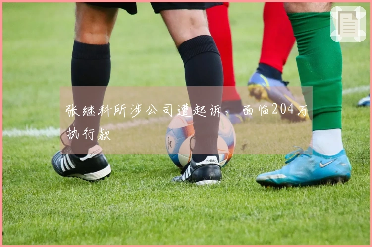 张继科所涉公司遭起诉，面临204万执行款